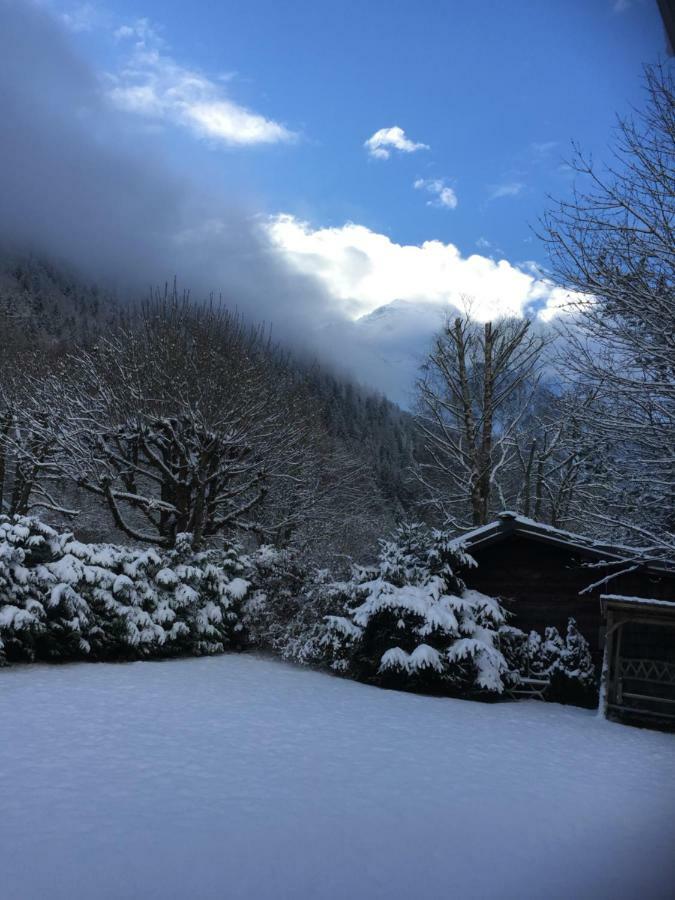 Chalet Des Petits Loups Chamonix Kültér fotó
